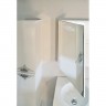 Зеркало-шкаф Ingenium Accord 50 белый глянец L